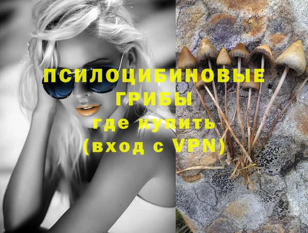 таблы Алзамай