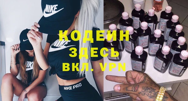 индика Ростов
