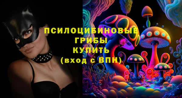 молекула духа Алексин