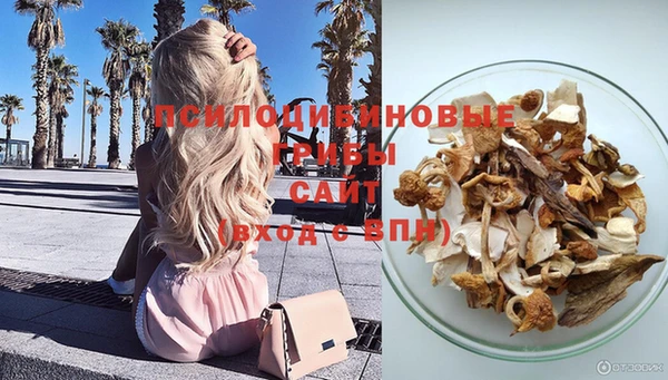 ALPHA-PVP Алексеевка